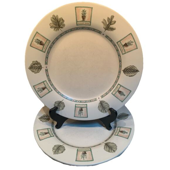 Pfaltzgraff Portfolio Naturewood Dinner Plate Set Of Two 11 Inch Garden - Picture 1 of 5